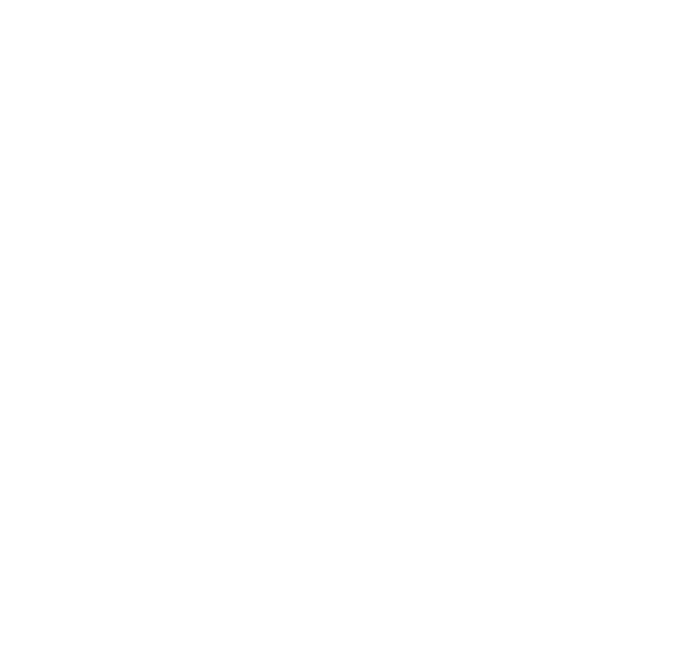 Disco Leo